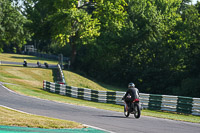 cadwell-park;cadwell-park-photographs;cadwell-trackday-photographs;enduro-digital-images;event-digital-images;eventdigitalimages;peter-wileman-photography;racing-digital-images;trackday-digital-images;trackday-photos